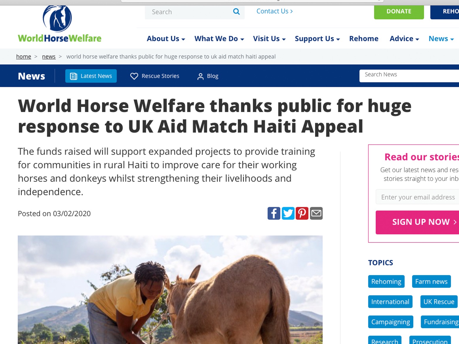 World Horse Welfare